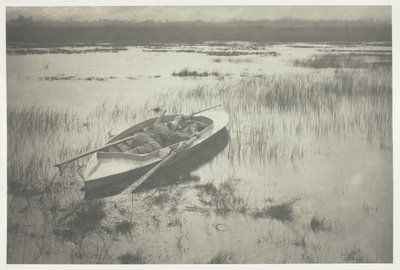 Kanonnier werkt zich op tot vogel door Peter Henry Emerson