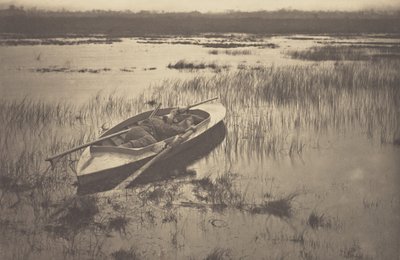  door Peter Henry Emerson