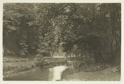In Beresford Dale door Peter Henry Emerson
