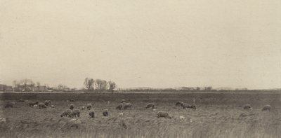 Moerassen bij de Noordzee, 1890-1891, gedrukt 1893 door Peter Henry Emerson