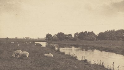 Op de rivier de Bure door Peter Henry Emerson