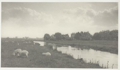 Op de rivier de Bure door Peter Henry Emerson
