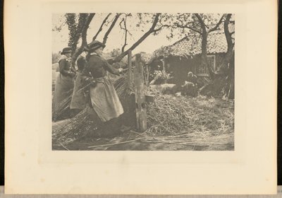 OsierPeeling. [Norfolk.] door Peter Henry Emerson
