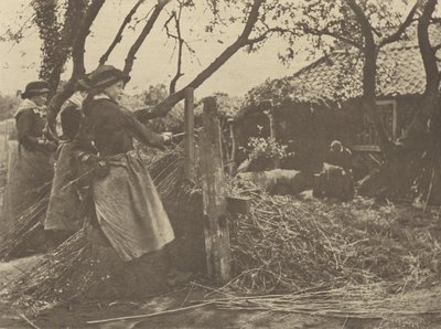 OsierPeeling. [Norfolk.] door Peter Henry Emerson