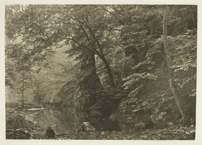 "Snoekenpoel" (van onderen) door Peter Henry Emerson