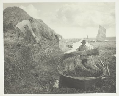 Riet harken door Peter Henry Emerson