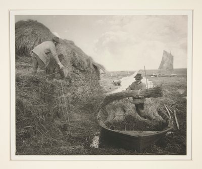 Riet harken door Peter Henry Emerson