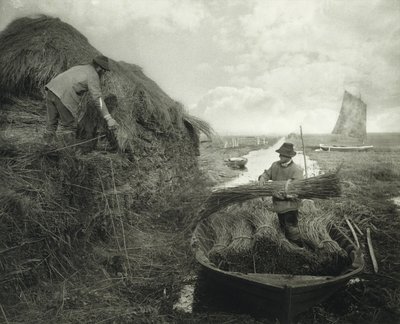 Riet snijden, ca. 1885 door Peter Henry Emerson