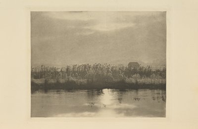  door Peter Henry Emerson