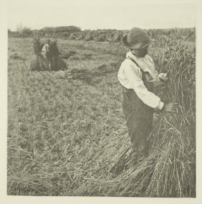Schokkende maïs (Norfolk) door Peter Henry Emerson