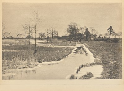 [The Edge of the Broad]. door Peter Henry Emerson