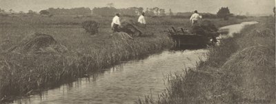 De oogst van het zeggegras door Peter Henry Emerson