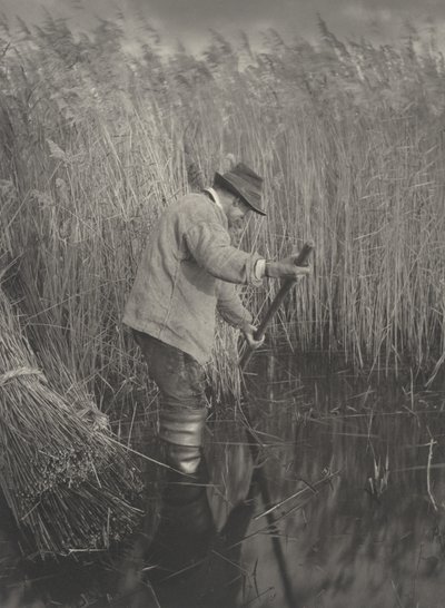 Een Rietsnijder aan het Werk door Peter Henry Emerson and T.F. Goodall