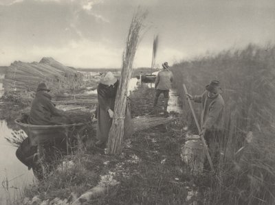 Tijdens de rietoogst door Peter Henry Emerson and T.F. Goodall