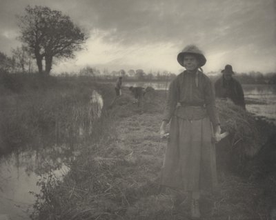 Het hooien in het moeras door Peter Henry Emerson and T.F. Goodall