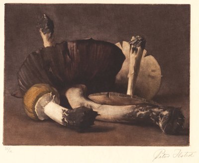 Gele champignon door Peter Vilhelm Ilsted