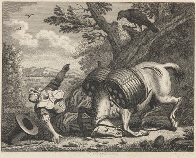 De boerin en de raaf door Peter Mazell