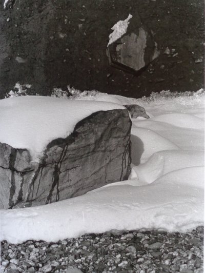Vintage zwart-wit foto nr. 3, 1985 door Peter McClure