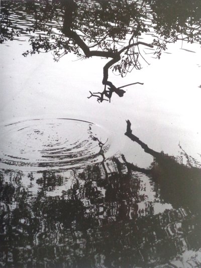 Vintage zwart-wit foto nr. 5, 1986 door Peter McClure