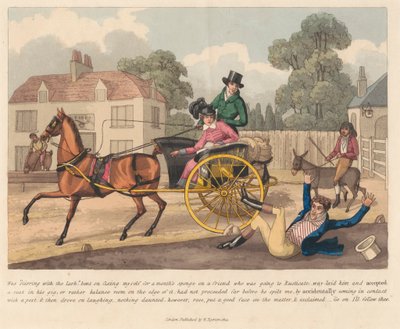 Een van een set van 6: Een dagboek van een spons door Peter Pasquin