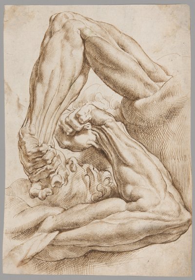 Een blad met anatomische studies door Peter Paul Rubens