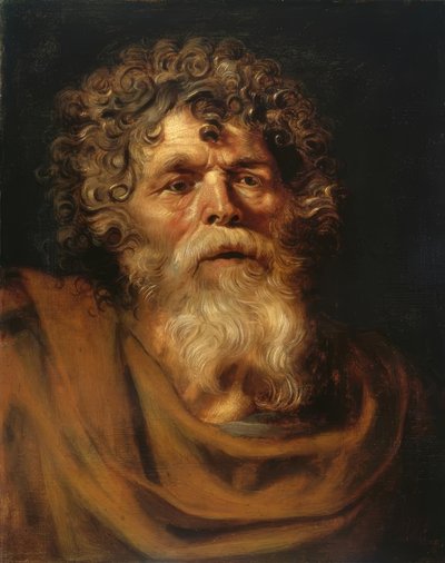 Portret van een bebaarde oude man door Peter Paul Rubens