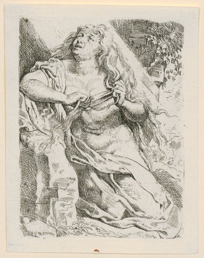  door Peter Paul Rubens