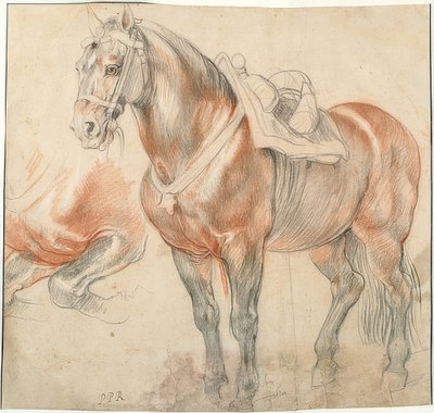 Gezadeld paard. Om 1615-18 door Peter Paul Rubens