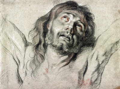 Hoofd van Christus aan het kruis door Peter Paul Rubens door Peter Paul Rubens