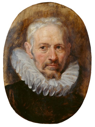 Hoofd van een Oude Man door Peter Paul Rubens