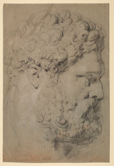 Hoofd van de Farnese Hercules door Peter Paul Rubens