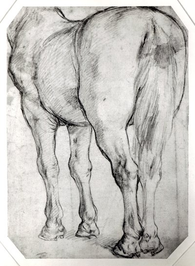 Achterkant van een paard door Peter Paul Rubens