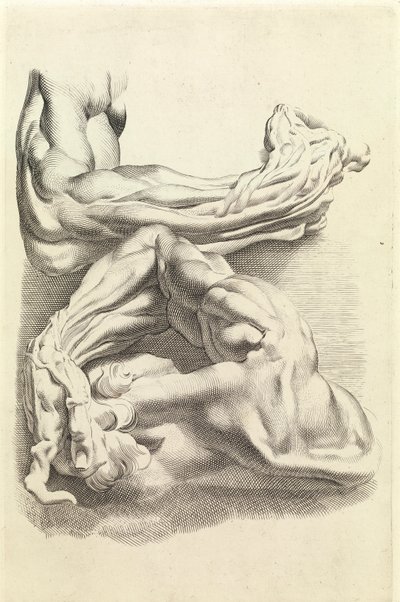 Spieren (gravure) door Peter Paul Rubens