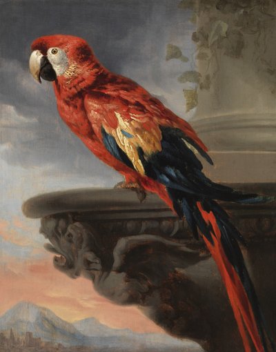 Papegaai, ca. 1630-40 door Peter Paul Rubens