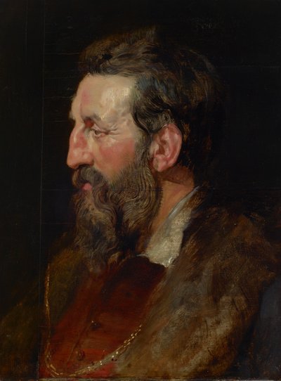Portret van een man, c.1615 door Peter Paul Rubens
