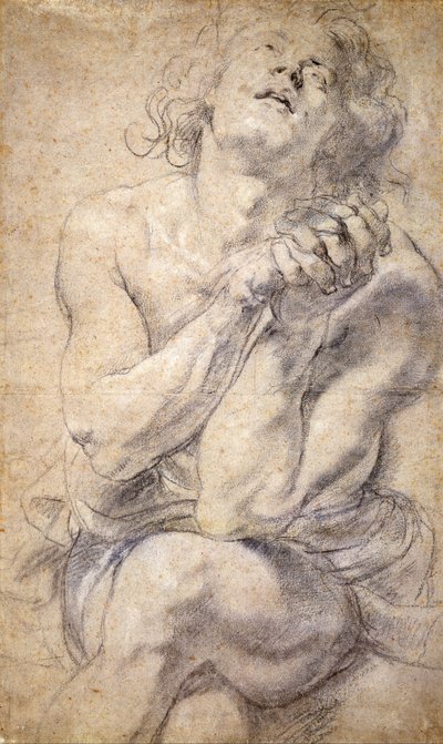 Zittende mannelijke jeugd (studie voor Daniël) door Peter Paul Rubens