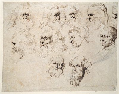 Zeven studies van het hoofd van een bejaarde man met baard, met twee andere van verschillende mannenhoofden en twee van een vrouw, een met een muts, ca. 1616 door Peter Paul Rubens