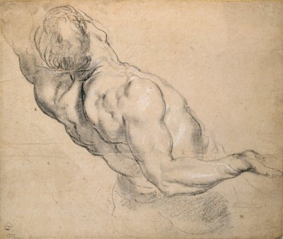 Studie van een mannelijk naakt torso, 1600-1640 door Peter Paul Rubens