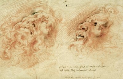 Twee studies naar het hoofd van Laocoön door Peter Paul Rubens