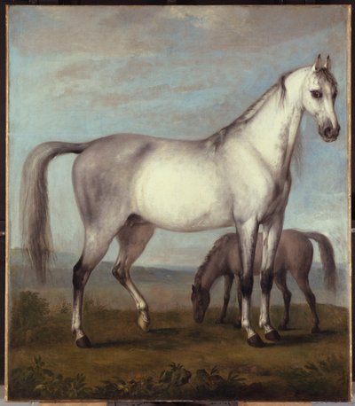 Een grijze merrie en een veulen in een uitgestrekt heuvelachtig landschap door Peter Tillemans