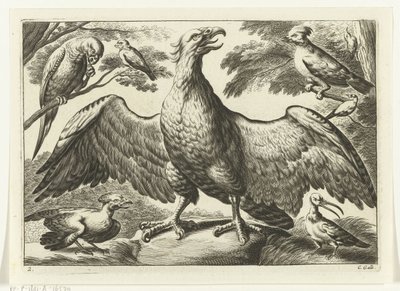 Arend Verschillende vogels (series title) door Peter van Liesebetten