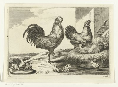 Kip, hanen en kuikens door Peter van Liesebetten