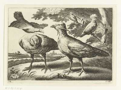 Trapganzen en een kaketoe door Peter van Liesebetten
