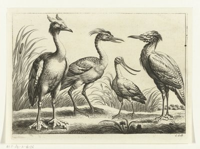 Vier waadvogels door Peter van Liesebetten