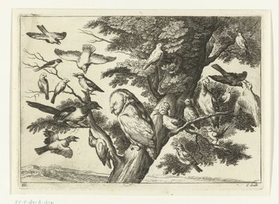 Vogels in een boom door Peter van Liesebetten