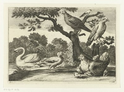 Zwaan, kip met kuikens en andere vogels door Peter van Liesebetten