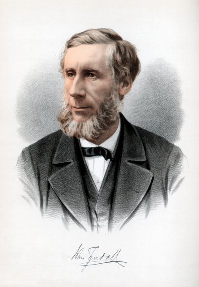 Professor John Tyndall, Ierse natuurfilosoof, c1890 door Petter and Galpin Cassell