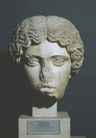 Hoofd van een Amazone door Phidias Phidias