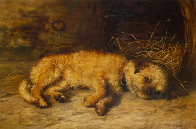 Een Border Terrier Puppy door Philip Eustace Stretton