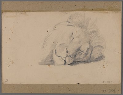 Hoofd van een slapende leeuw door Philip H. Wolfrom
